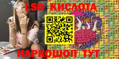 эйфоретик Дмитров